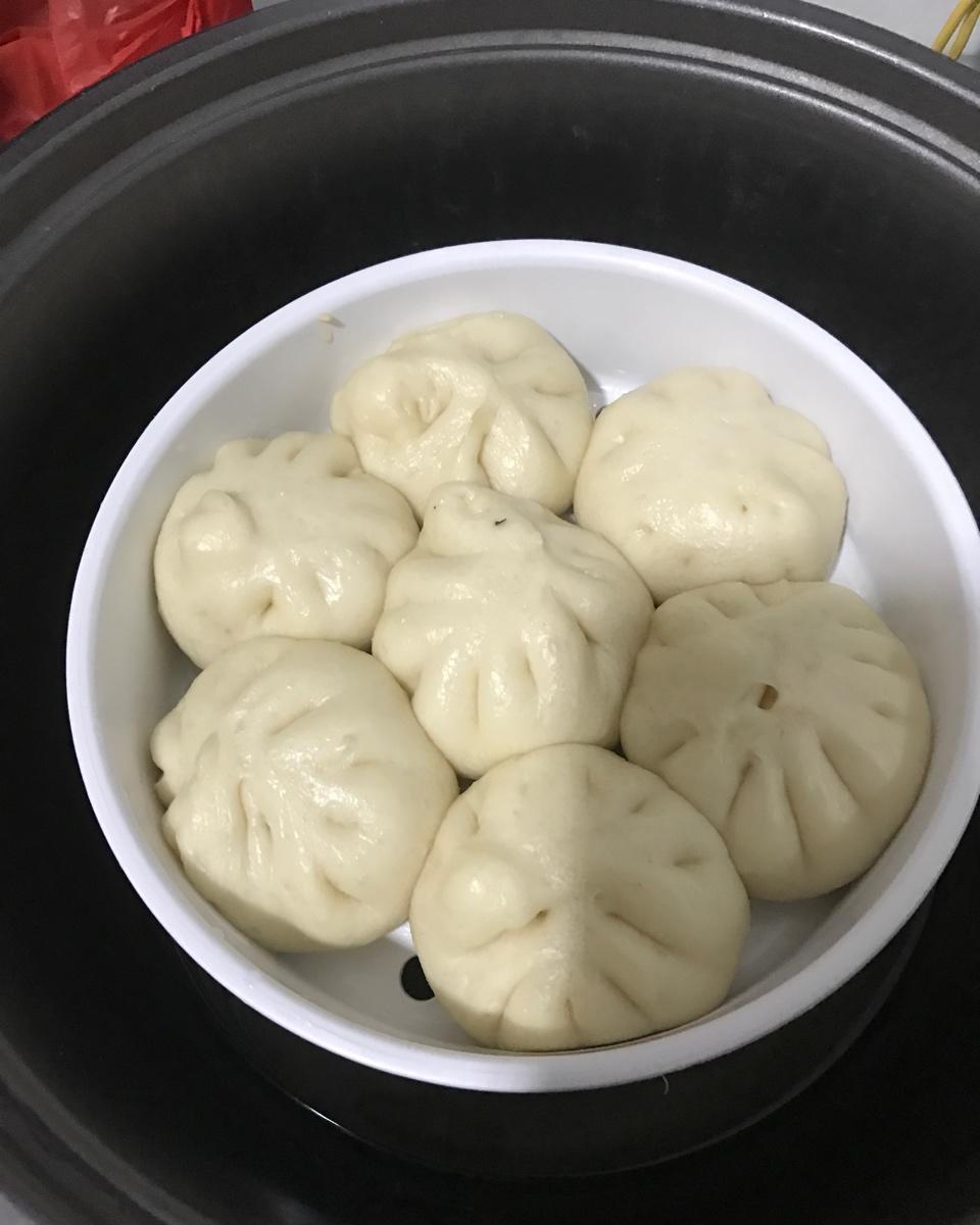 猪肉包子（附视频。一次性发酵。）
