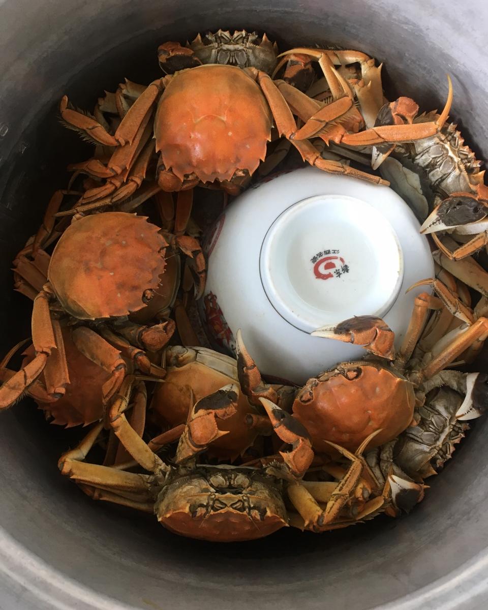 shinyss做的煮螃蟹