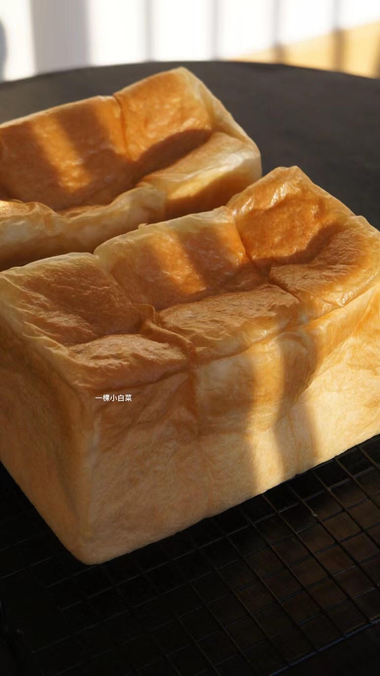 100%含水量豆腐生吐司