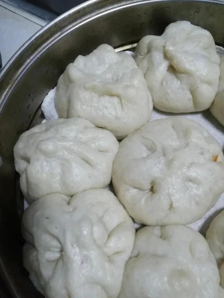 猪肉包子（附视频。一次性发酵。）