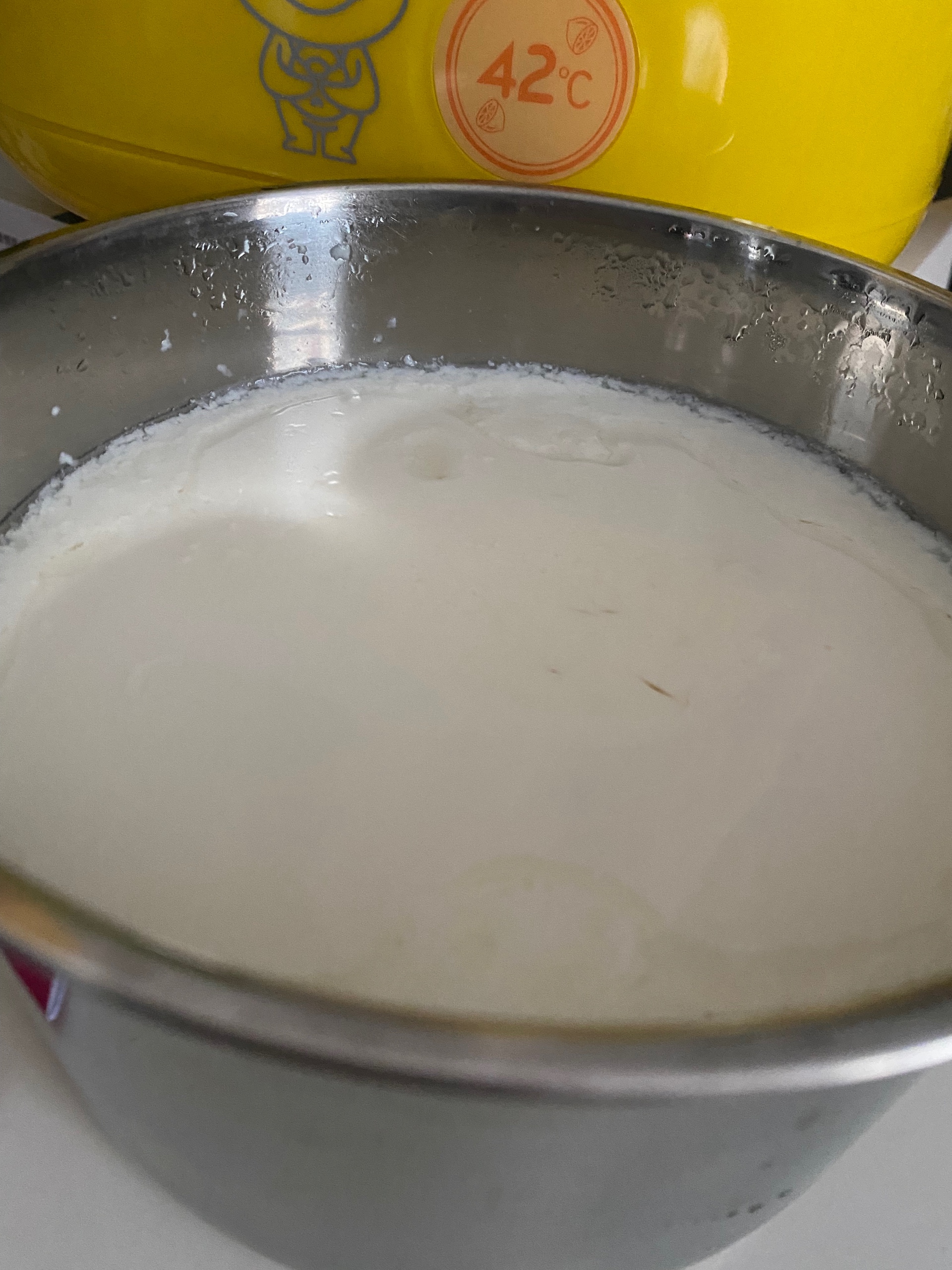 酸奶机做酸奶（无需菌粉版本）