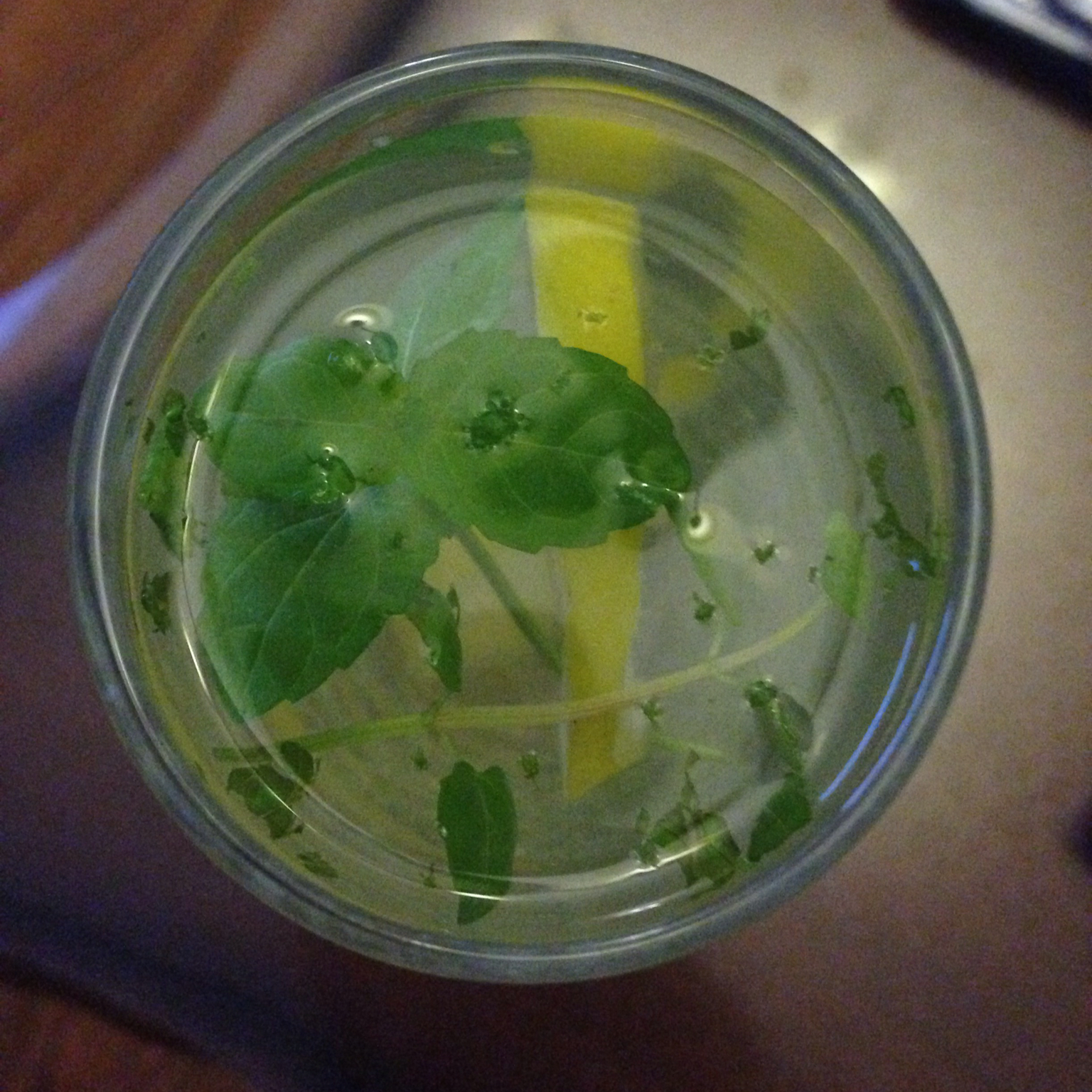 柠檬薄荷苏打水