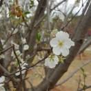 像处女座的摩羯女