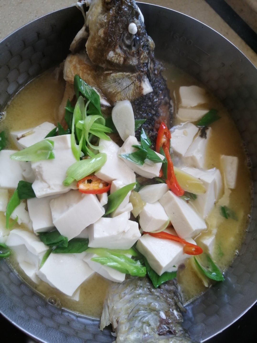 鱼煮豆腐