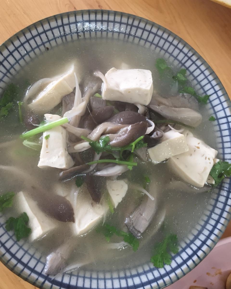 手机用户5505_ald0做的平菇豆腐汤