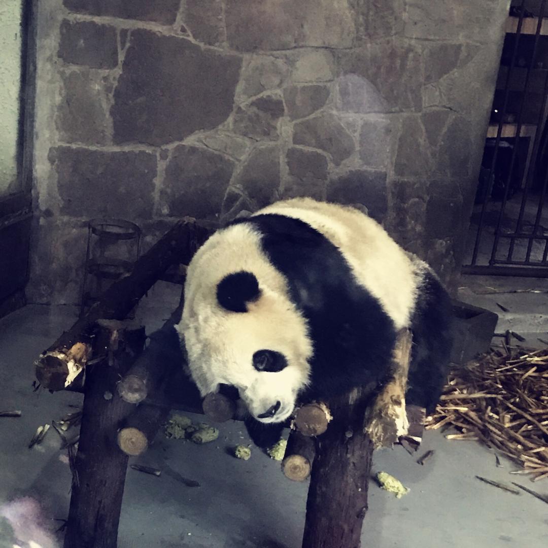 一百道食物