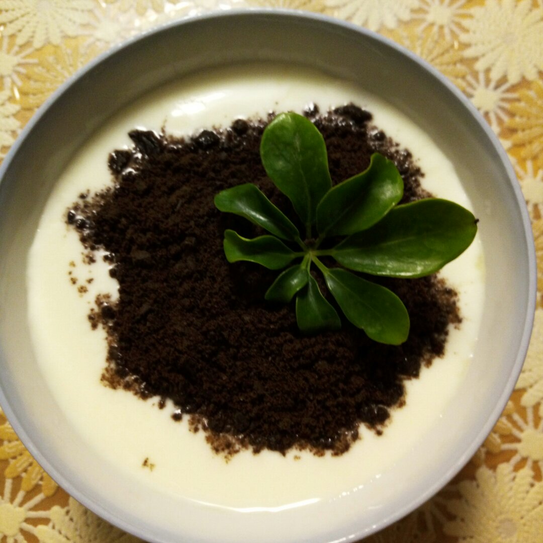 酸奶奥利奥水果盆栽