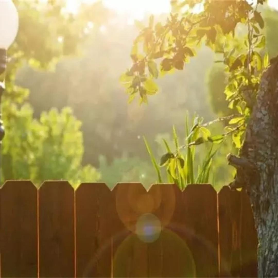 小肉蛋儿臭屁孩儿