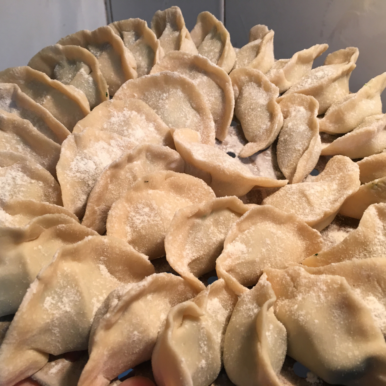 荠菜鲜肉饺子