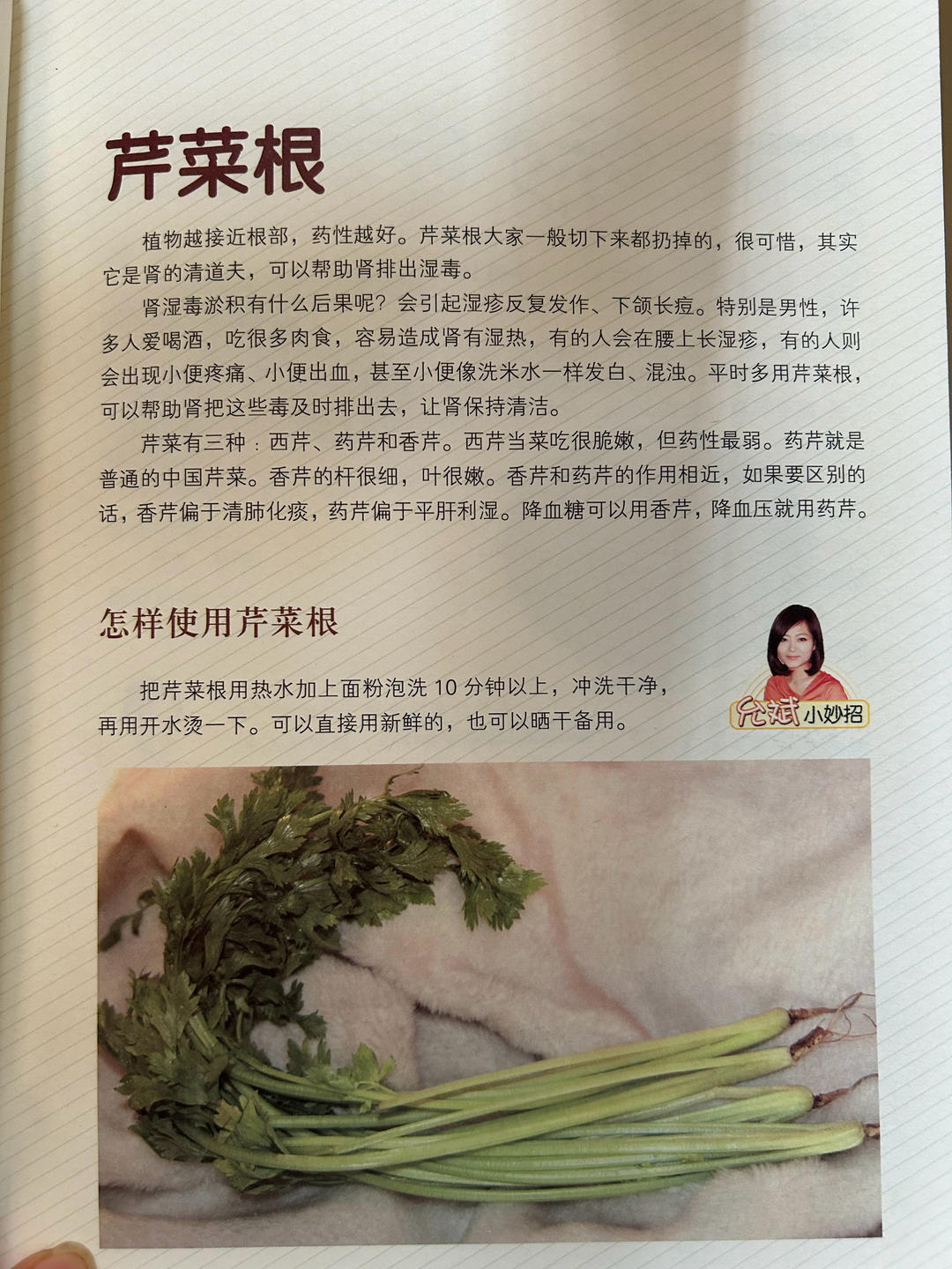 芹菜根——湿疹