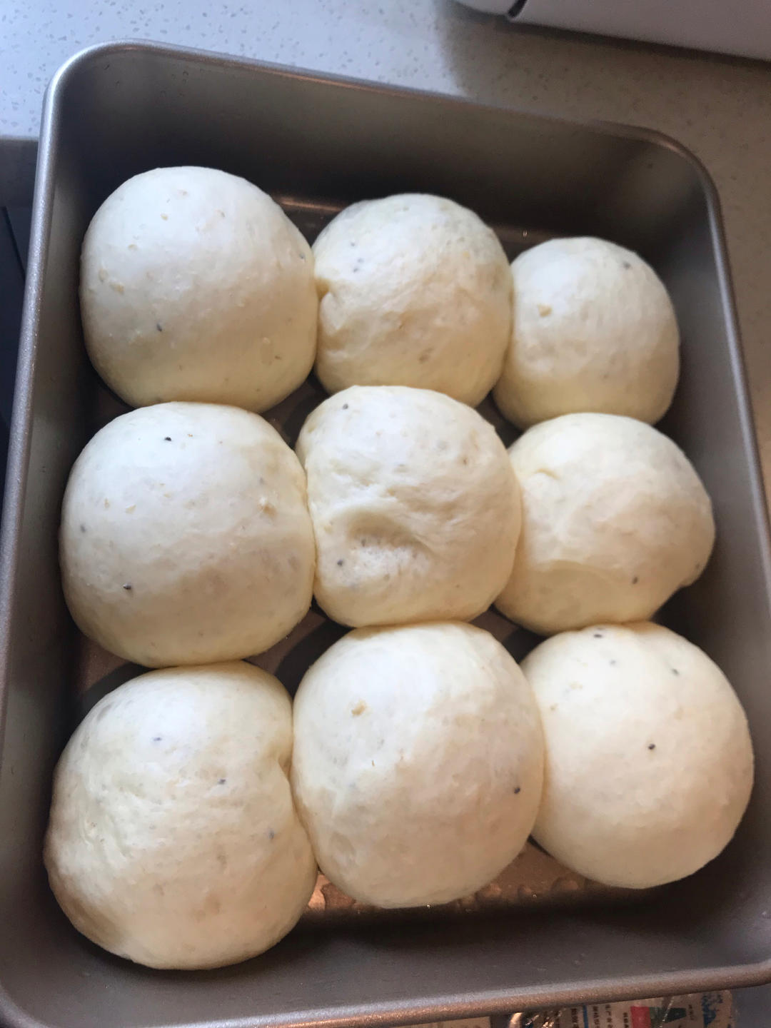 牛奶麦片小餐包