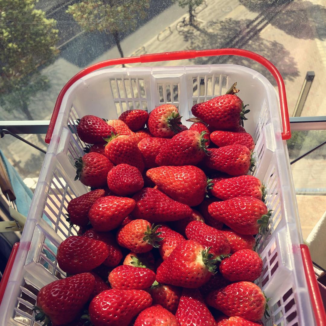 叮叮铛铛美食家