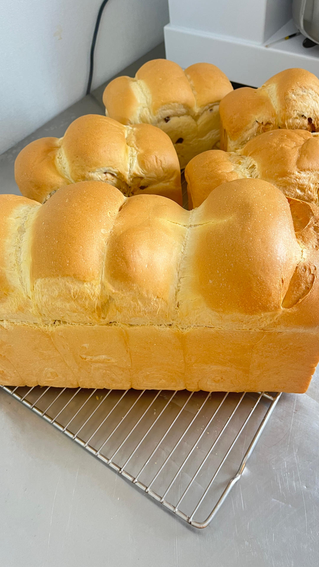 软到不知所措的牛奶卷