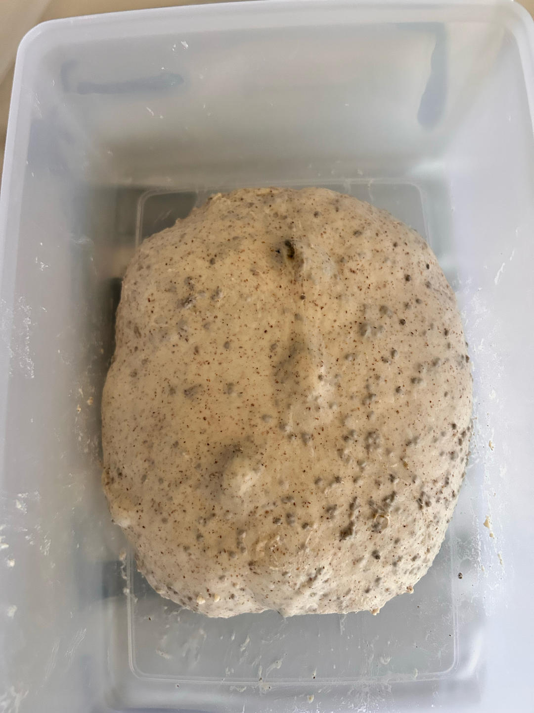 传统天然酵种欧包