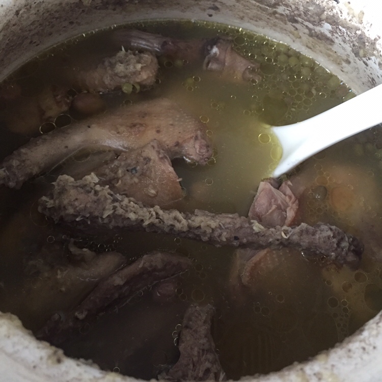 清热解毒乳鸽绿豆汤的做法 步骤3
