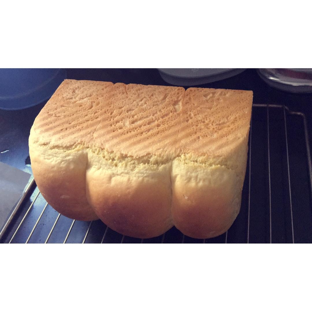 夺命软吐司(๑´ڡ`๑)超软拉丝极速方便的一次发酵吐司