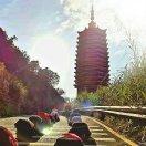 自律自由美食汇