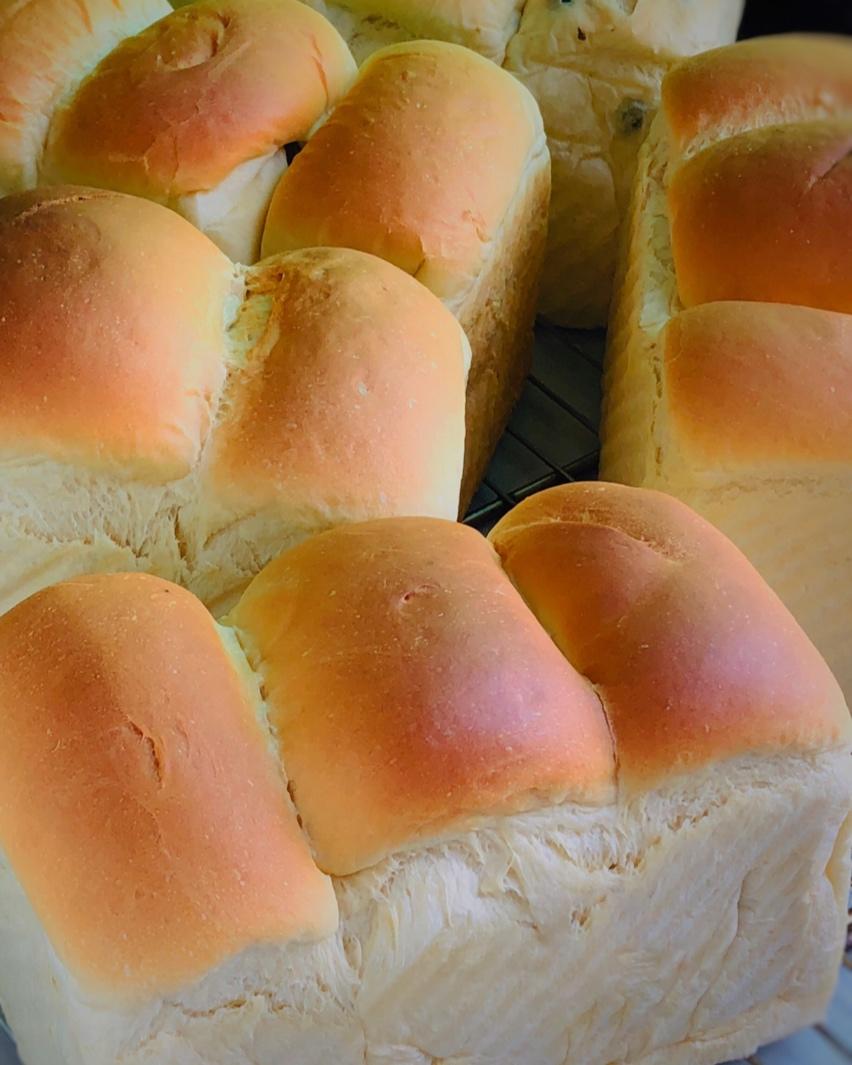 波兰种北海道吐司