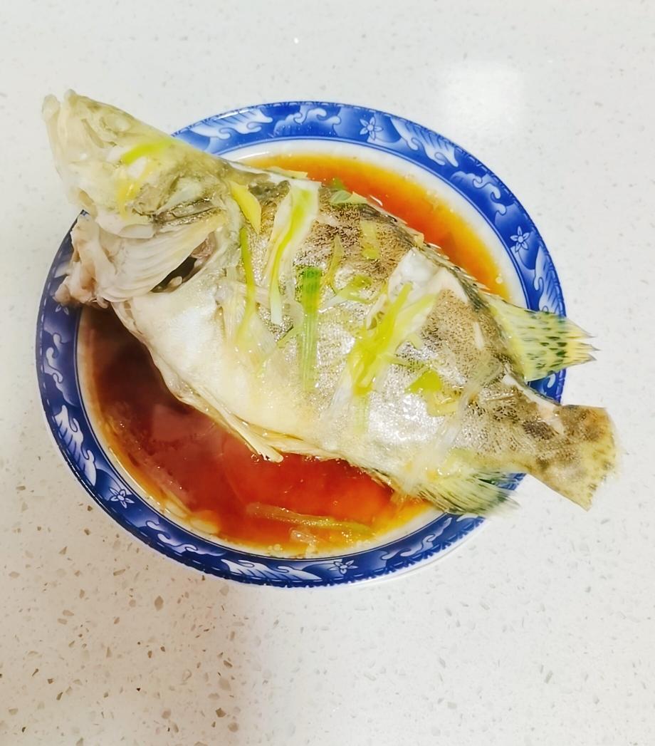 清蒸桂魚