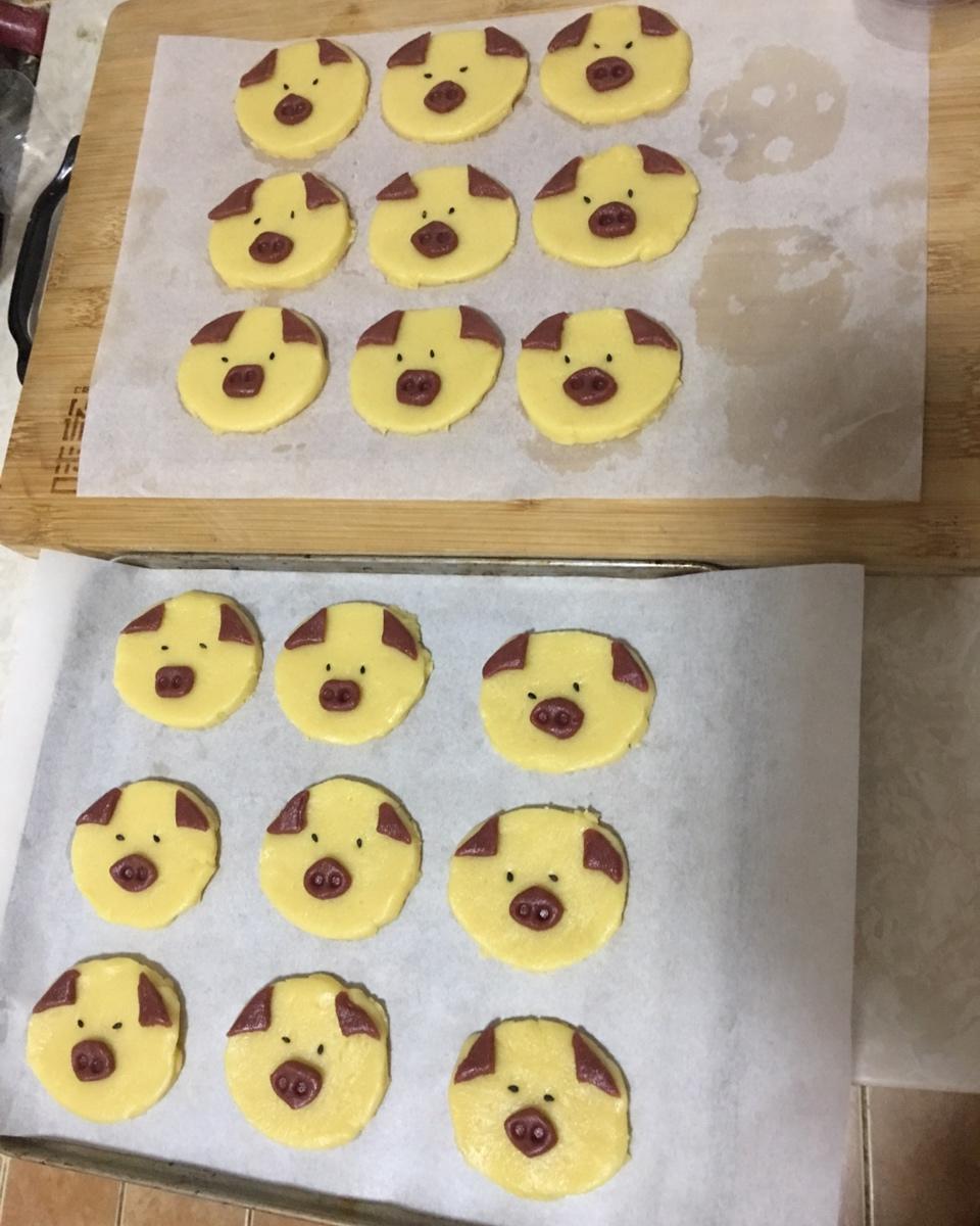 小猪曲奇饼干祝你诸事顺意