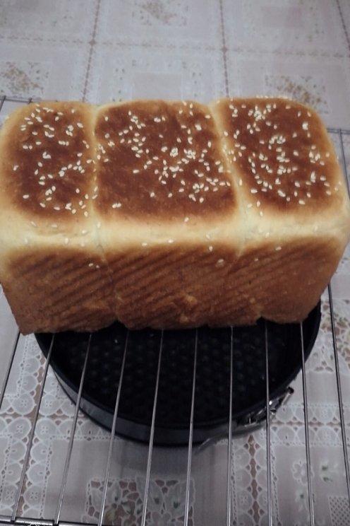 团长的汤种吐司（小餐包通用的万能配方）