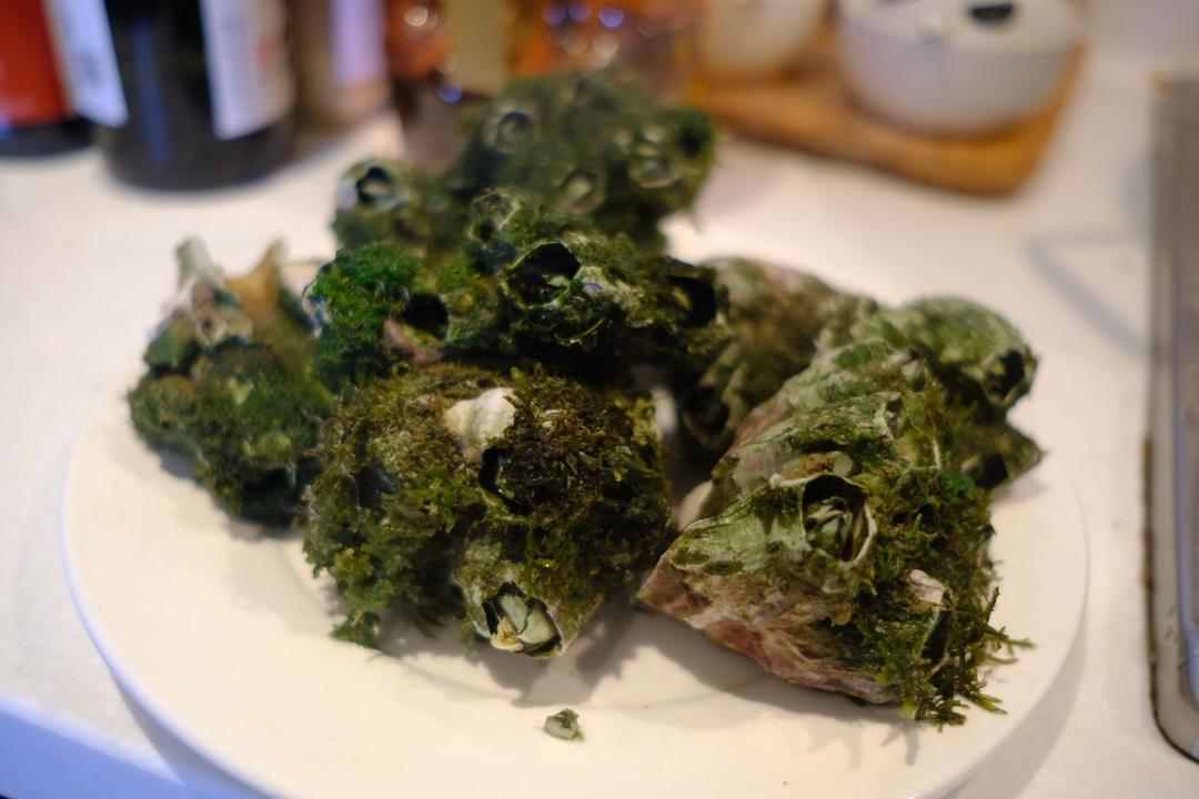 蒸红蛋曲（藤壶）