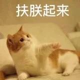 小波波-