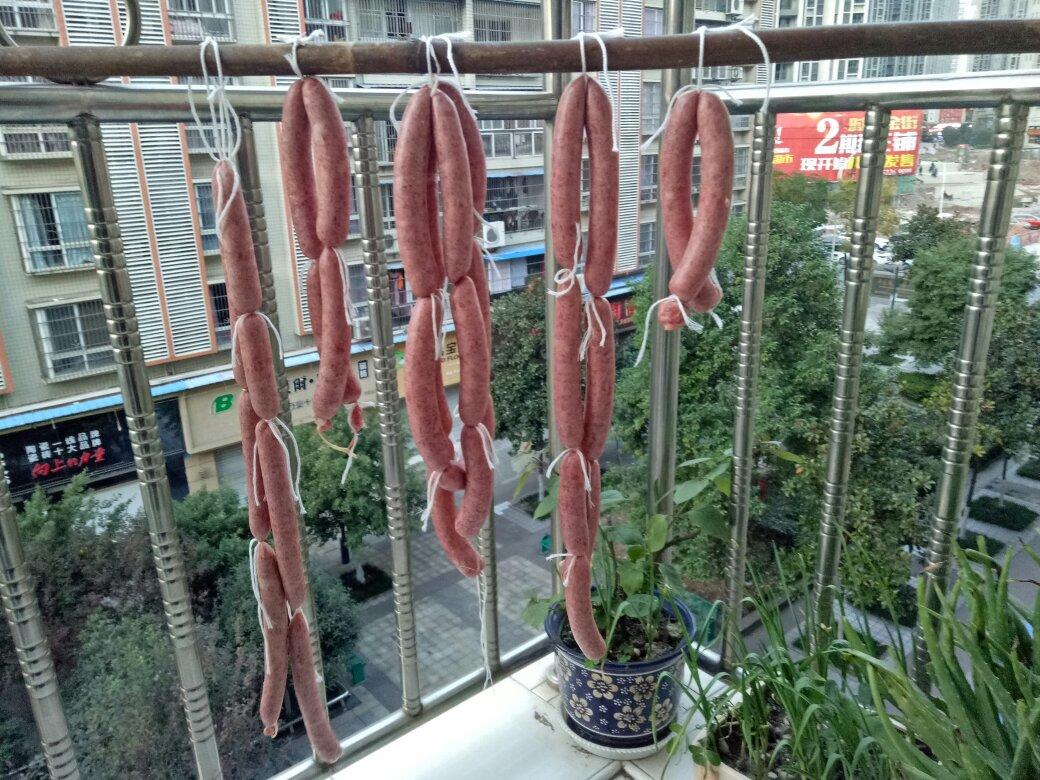 台湾烤肠 儿童肠