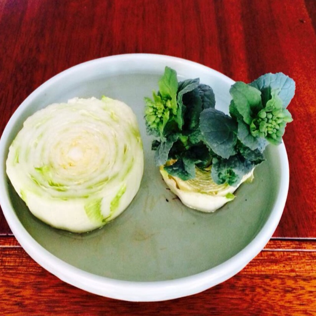 泡白菜花