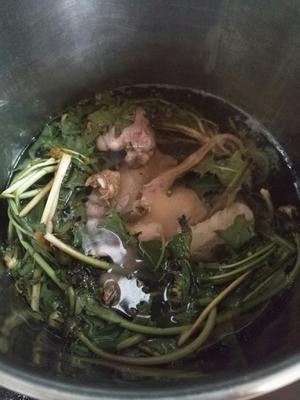 清热祛湿蒲公英煲乳鸽绿豆汤的做法 步骤4