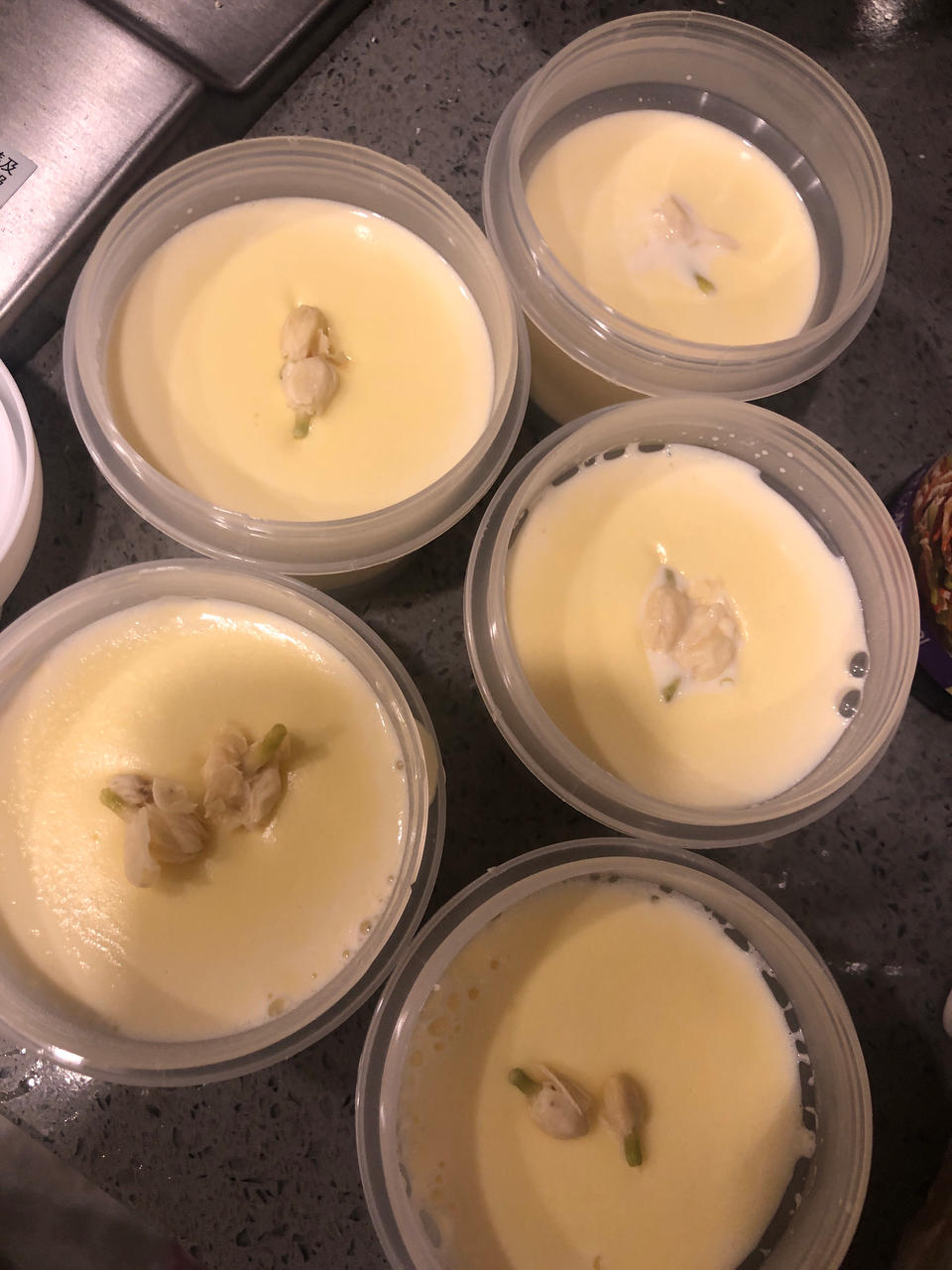 来吃豆腐啦✨茉莉奶冻简直是我心中的白月光