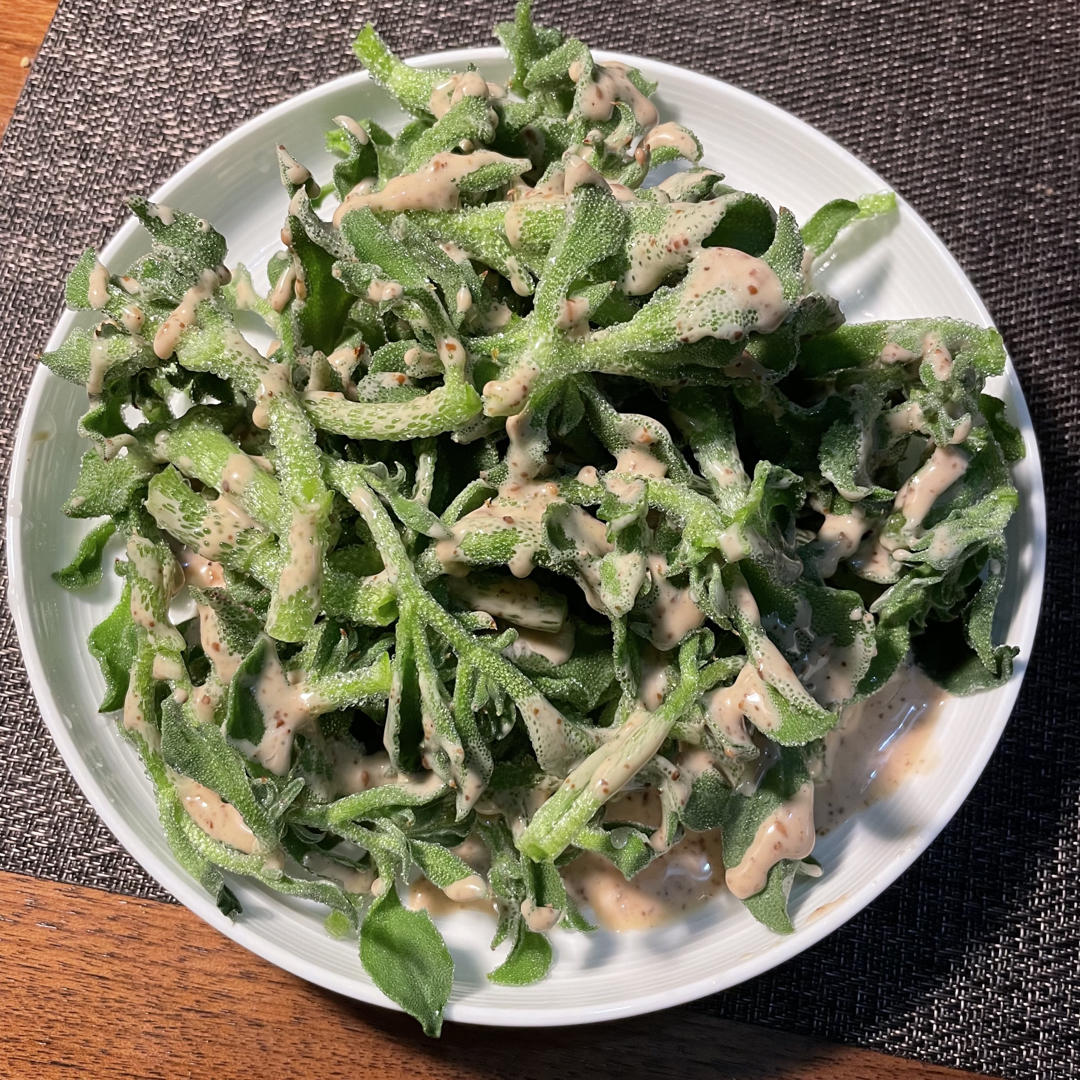 一掐二洗三拌就搞定的南非冰草