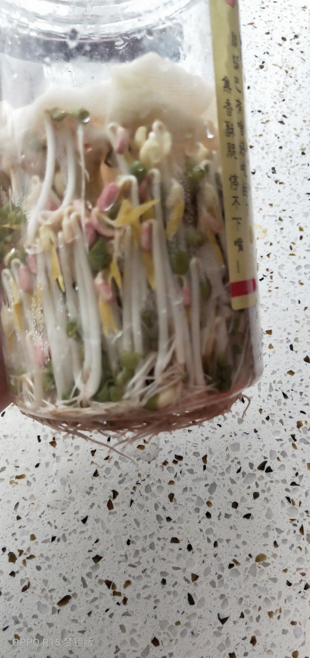 自发绿豆芽