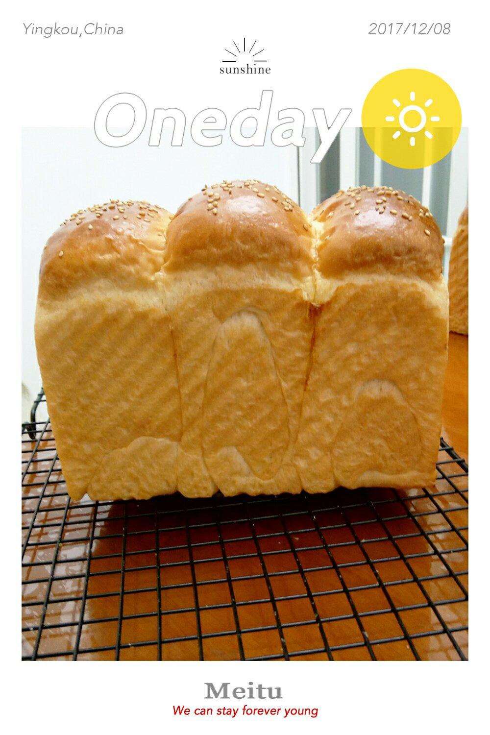 牛奶鸡蛋吐司