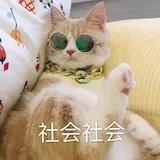 塔塔烹饪成长记