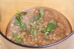 马齿苋绿豆薏仁汤的做法 步骤3