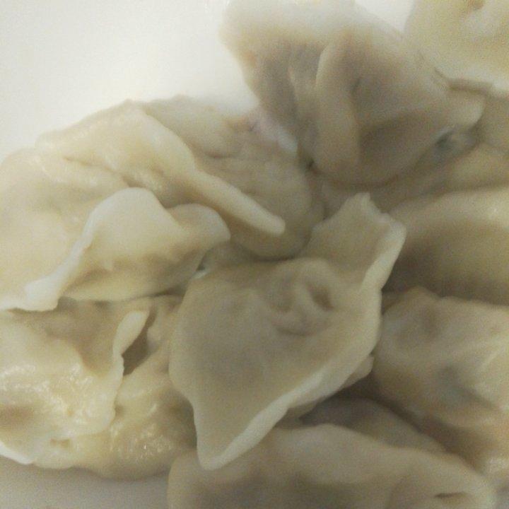 猪肉大葱馅饺子