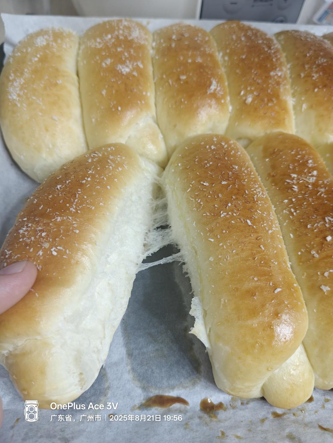 《Tinrry+》双拼芝士牛油排包