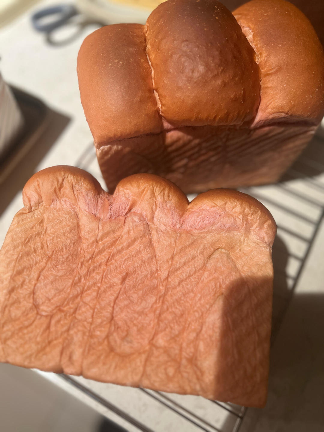 粉粉云朵奶香吐司（天然甜菜根粉调色）