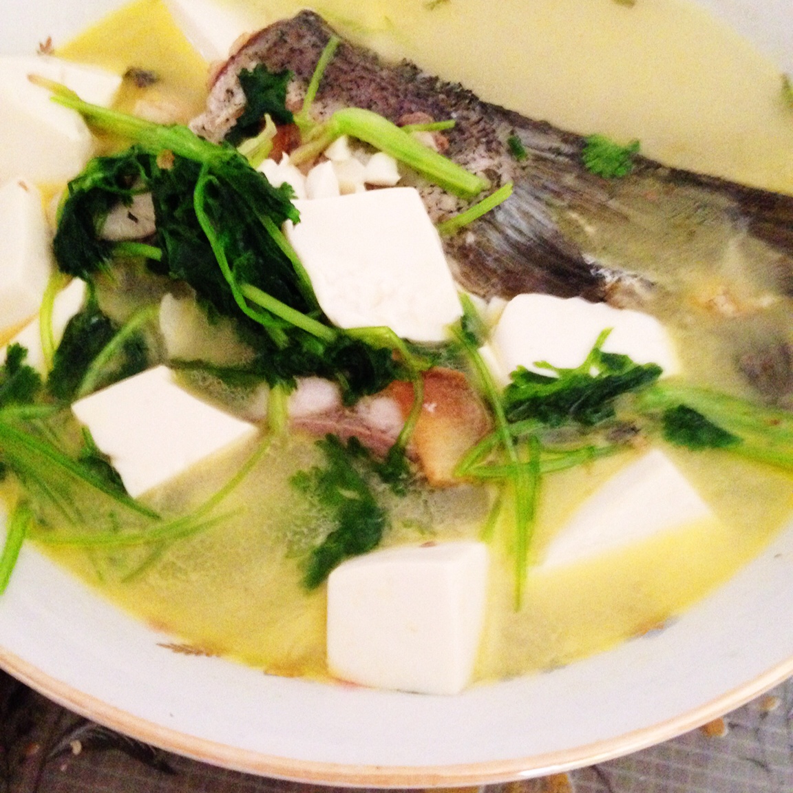 花鲢鱼豆腐汤