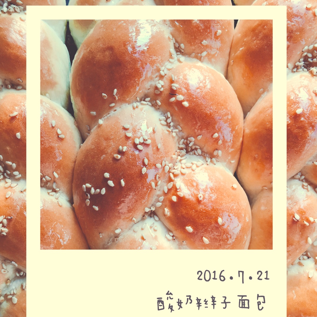 酸奶辫子面包（一次发酵）