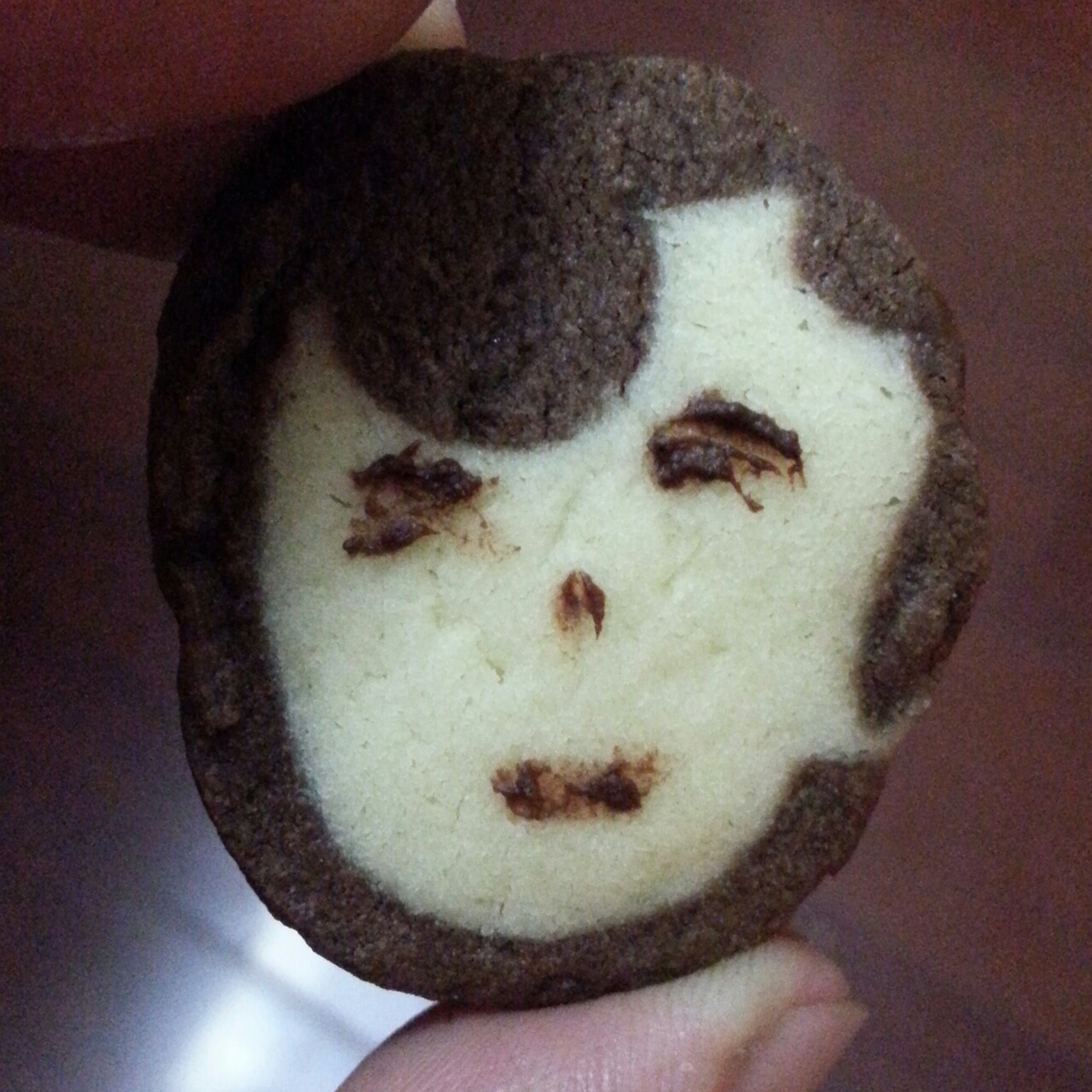 萌哭了的可可狮子饼干