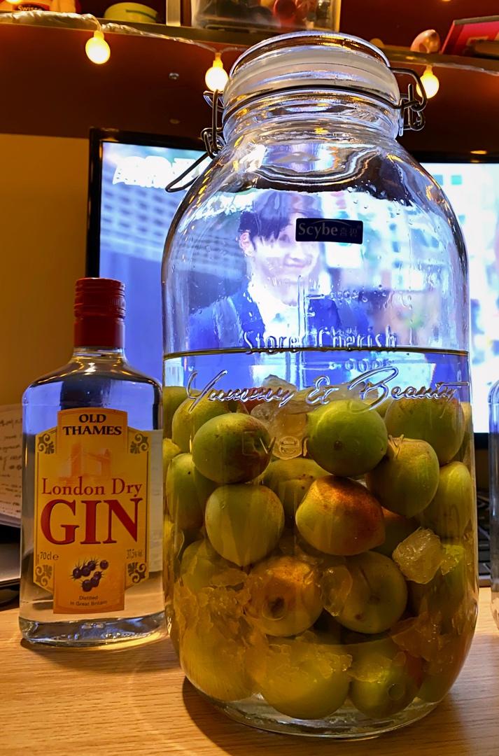 【青梅酒】梅子的沉醉时光（已填坑）