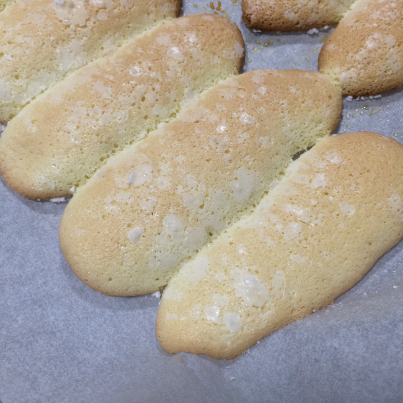 蓝带版手指饼（Lady Fingers）