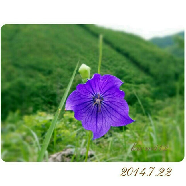 在  路上