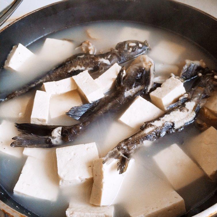 奶白鲫鱼豆腐汤|一条鱼最后的温柔