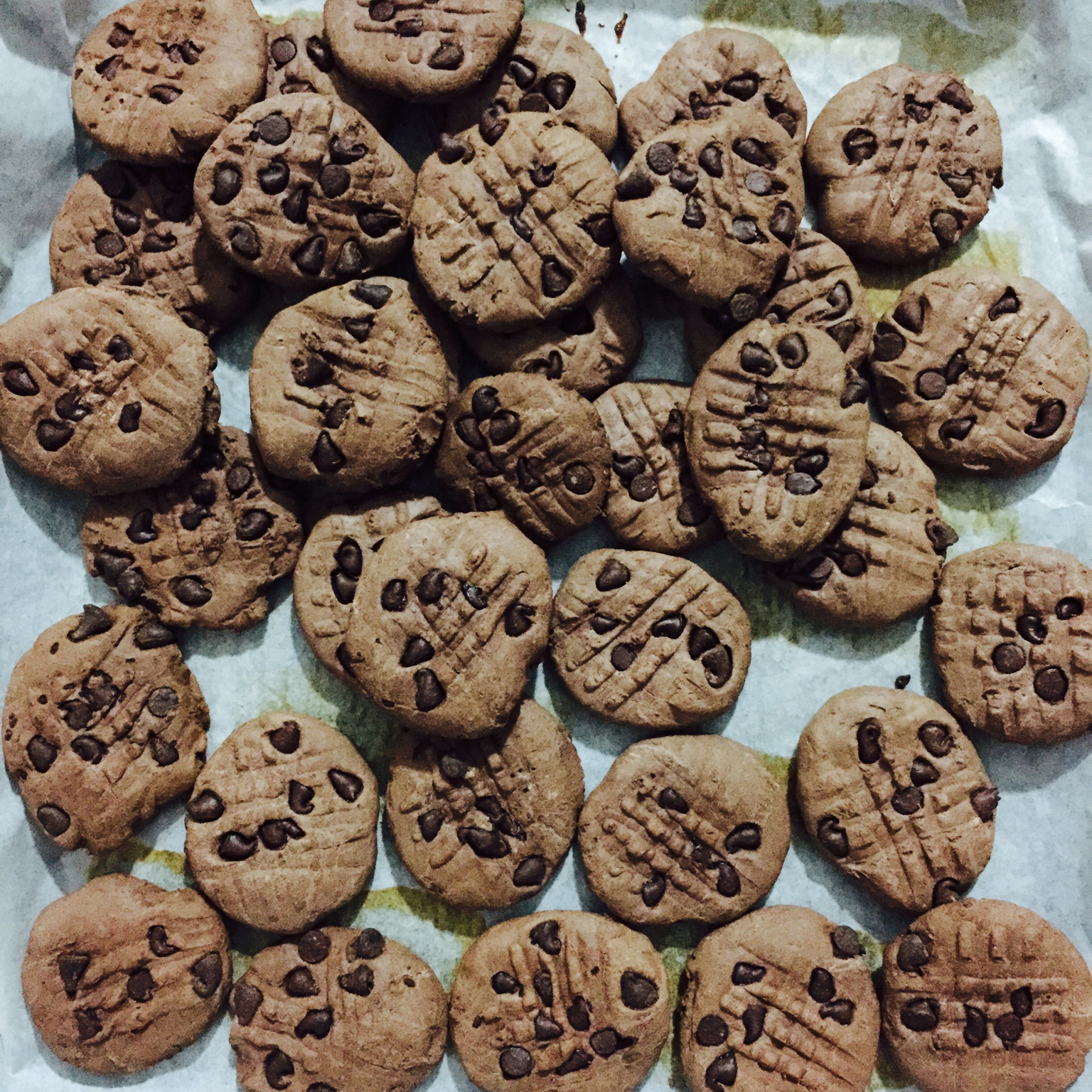 趣多多巧克力豆饼干