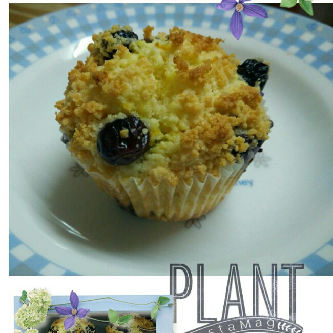 PH大师的金宝顶蓝莓马芬