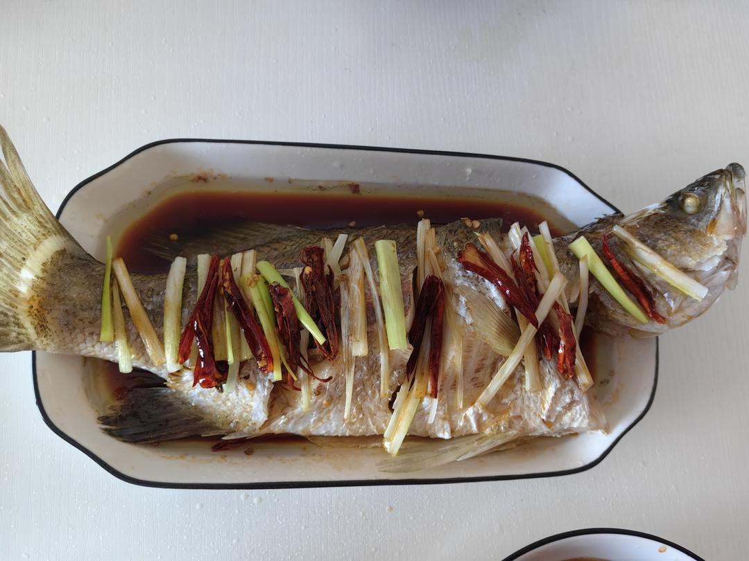 清蒸盲曹鱼Barramundi