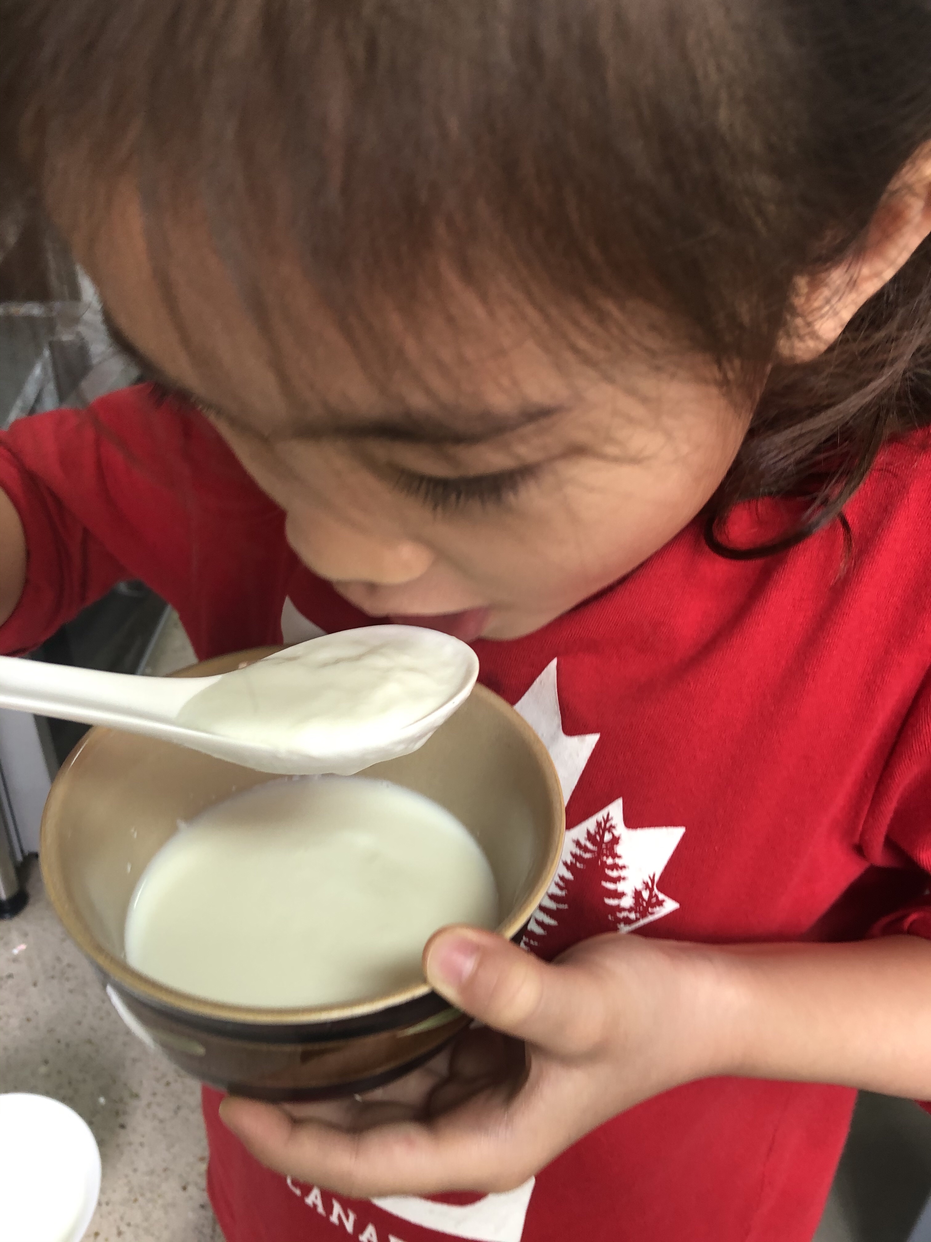 小孩子都能做的姜撞奶的做法 步骤7